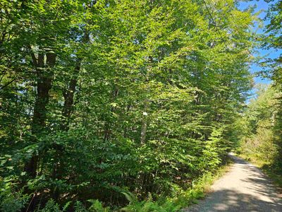 Lot 21 Wallace Hill Road, Home with 0 bedrooms, 0 bathrooms and null parking in Franconia NH | Image 1