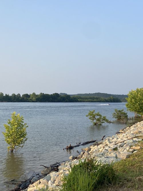 0 River Front Dr, Clifton, TN, 38425 | Card Image