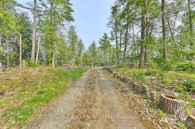 1008b Gordie Lane, House other with 2 bedrooms, 0 bathrooms and null parking in North Frontenac ON | Image 7