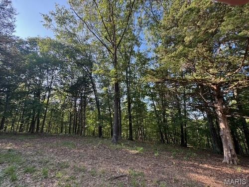 110 Steeple Point Dr. Lot # 14 Drive, Defiance, MO, 63341 | Card Image