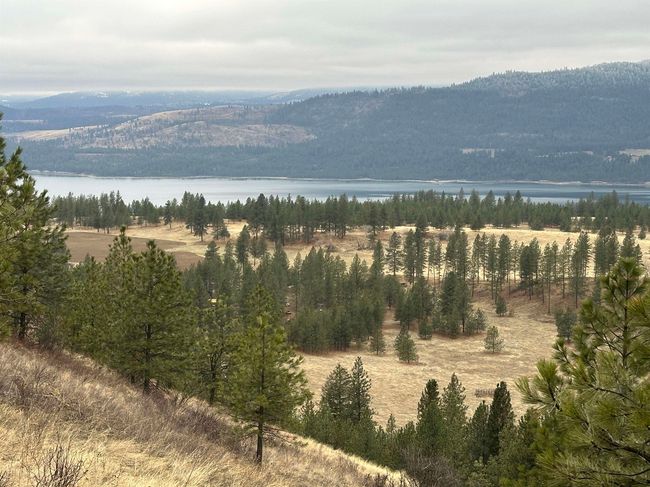 3312X Daisy Mine Rd, Home with 0 bedrooms, 0 bathrooms and null parking in Rice WA | Image 11