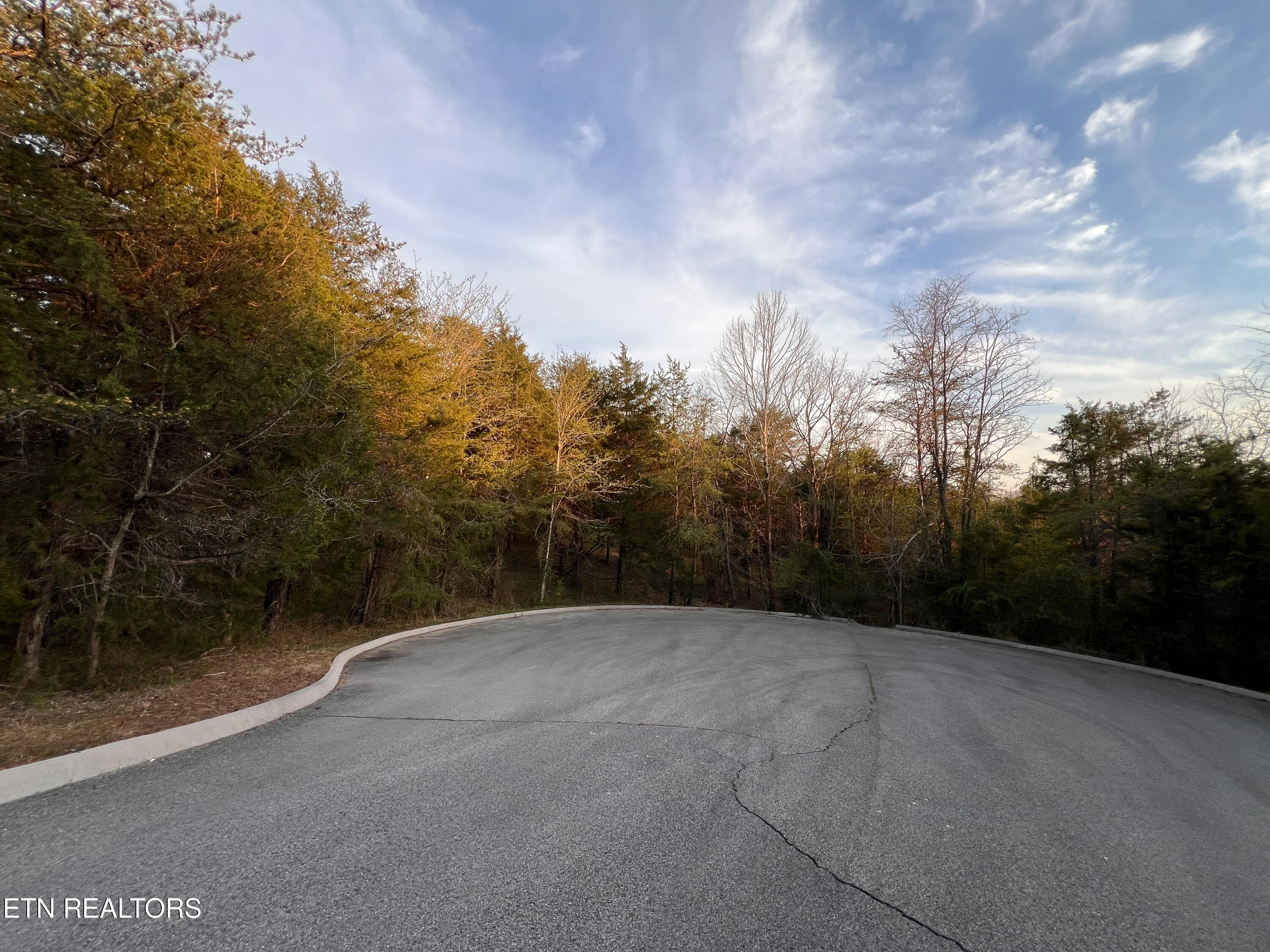 Land in Tazewell 4