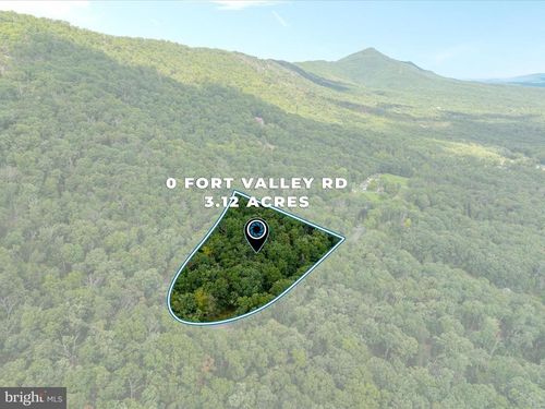 0 Fort Valley Rd, LURAY, VA, 22835 | Card Image