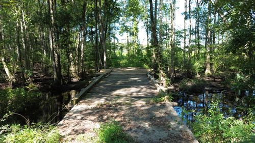 0 Lowcountry Hwy, Ruffin, SC, 29475 | Card Image
