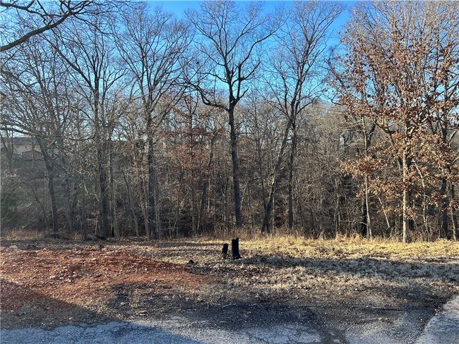 9373 Summers Rd, Home with 0 bedrooms, 0 bathrooms and null parking in Rogers AR | Image 4