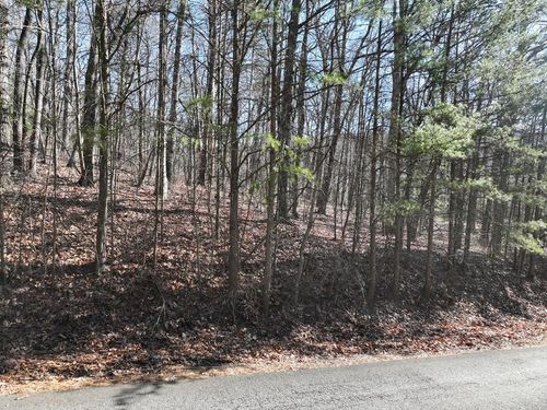57 Saint Andrews Way, Ellijay, GA, 30536 | Card Image
