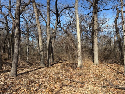 1255 Eagles Bluff Dr, Weatherford, TX, 76087-6610 | Card Image