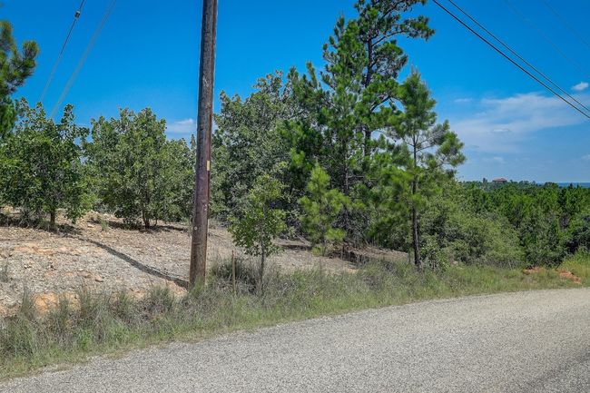 20 Tall Forest Dr, Home with 0 bedrooms, 0 bathrooms and null parking in Bastrop TX | Image 16