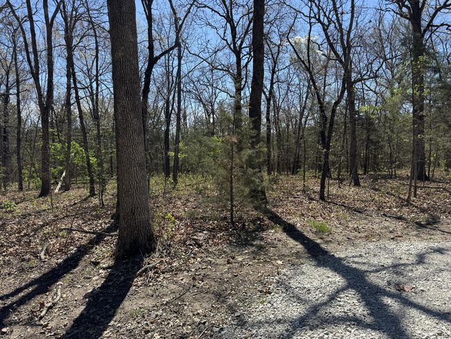 Land | Image 7