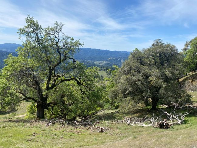 19010 Hulbert Rd, Home with 0 bedrooms, 0 bathrooms and null parking in Yorkville CA | Image 19
