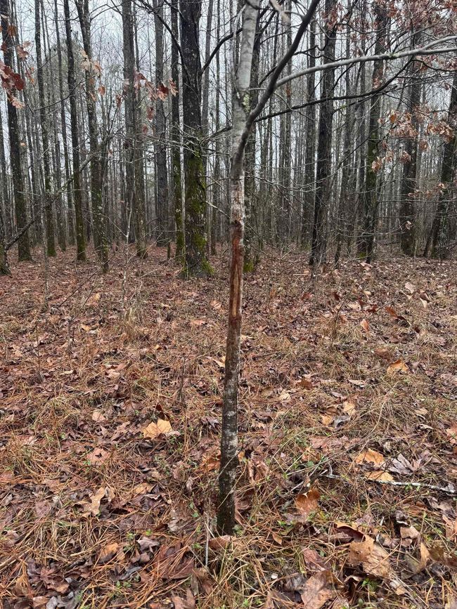 000 Ashley Road 912, Home with 0 bedrooms, 0 bathrooms and null parking in Hamburg AR | Image 35