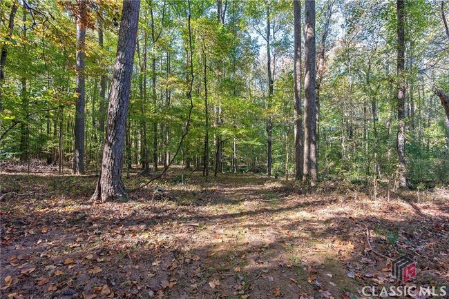 0 Bob Smith Rd, Home with 0 bedrooms, 0 bathrooms and null parking in Stephens GA | Image 15