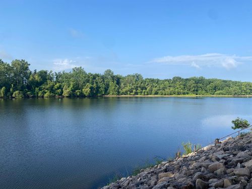 9 Catfish Ln, Crump, TN, 38327 | Card Image