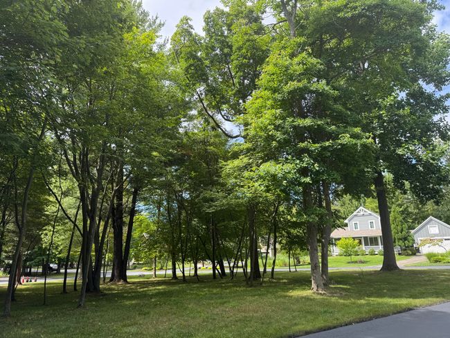125 W Shorewood Dr, Home with 0 bedrooms, 0 bathrooms and null parking in Douglas MI | Image 8