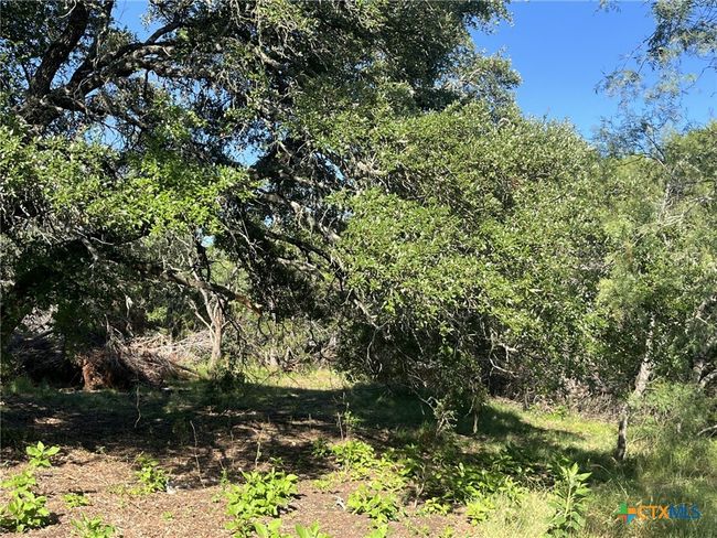 0 Rolling River Vw, Home with 0 bedrooms, 0 bathrooms and null parking in Spring Branch TX | Image 8