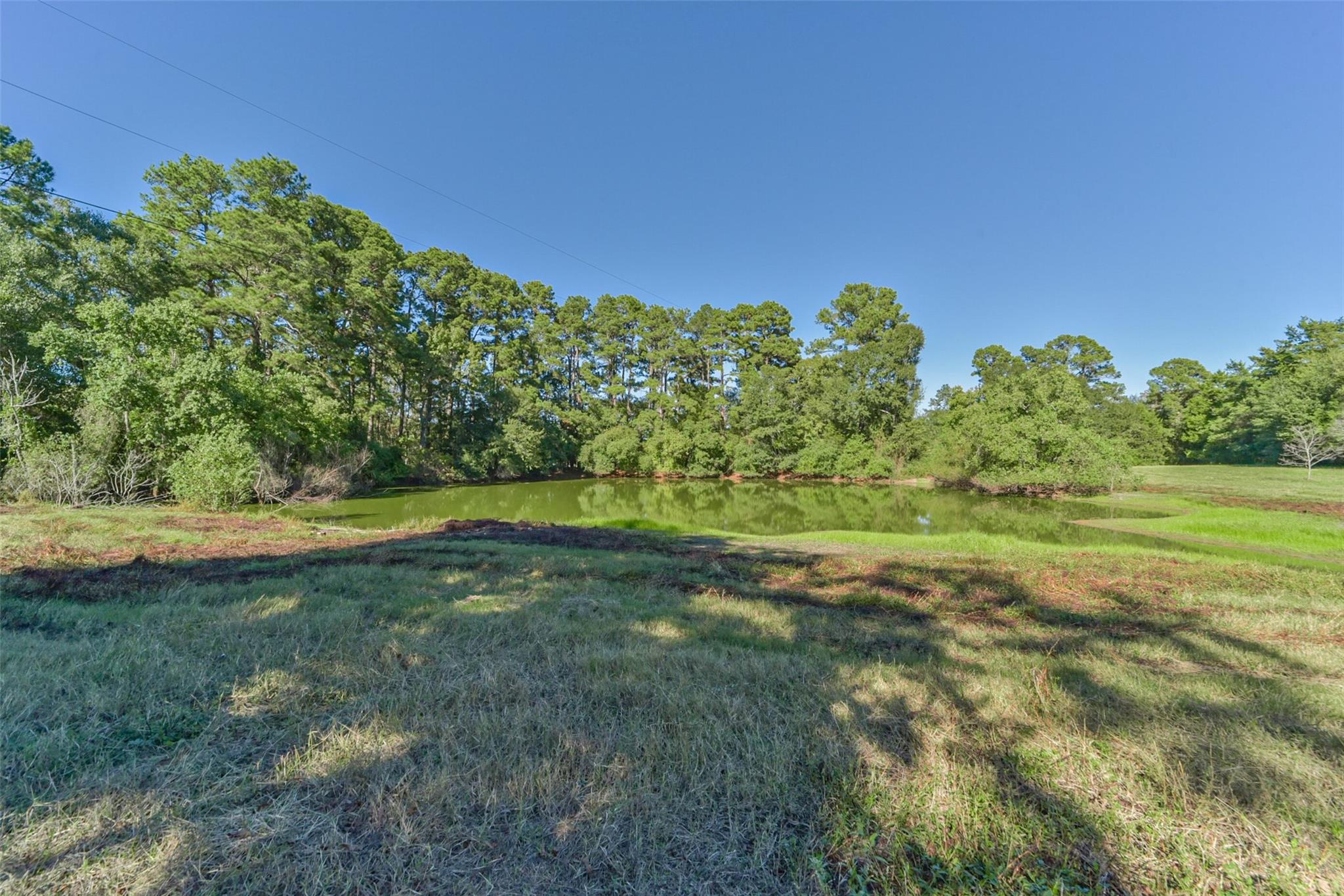 Land in New Waverly 4