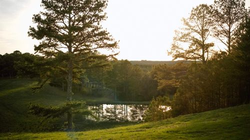 5871 Highway 278, Haleyville, AL, 35565-6145 | Card Image