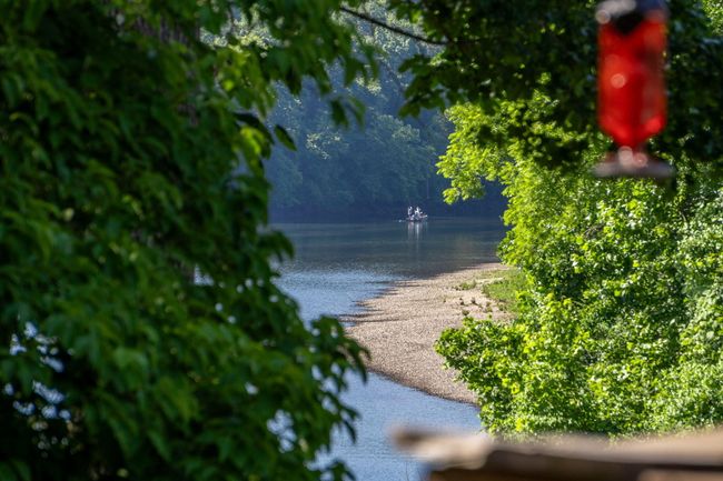 440 Fall Creek Drive #7 (38) | Image 42