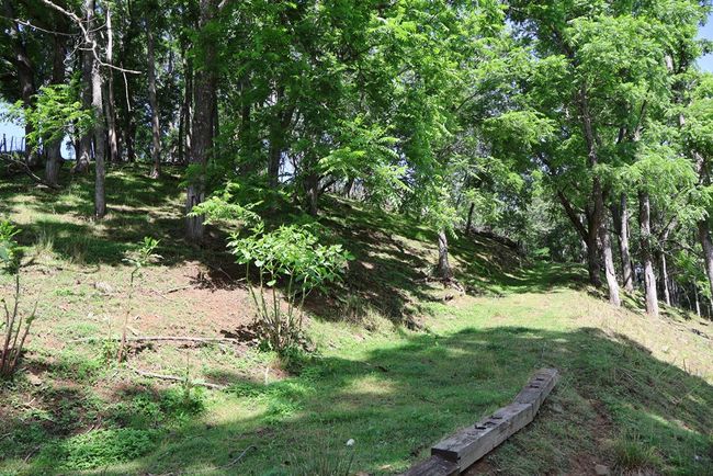 5043 Stones Chapel Rd, House other with 3 bedrooms, 3 bathrooms and 4 parking in Elk Creek VA | Image 50