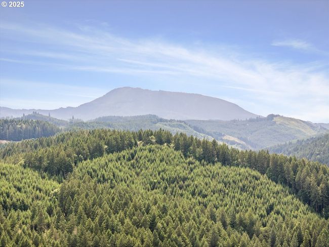 33678 Marys River Estates Rd, House other with 5 bedrooms, 3 bathrooms and 2 parking in Philomath OR | Image 37