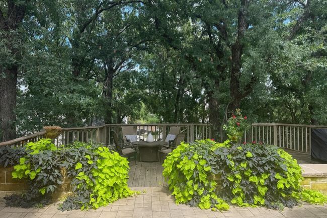 View of deck | Image 15
