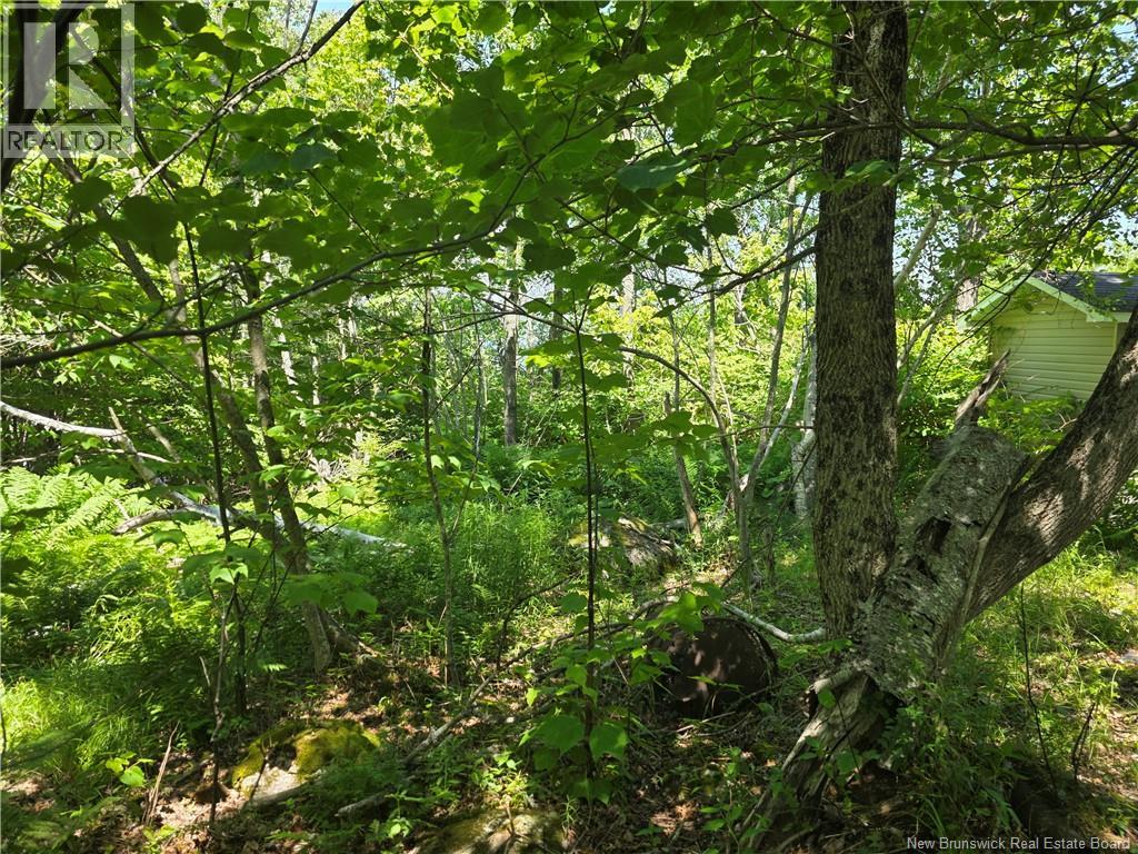 Land in Saint John 5