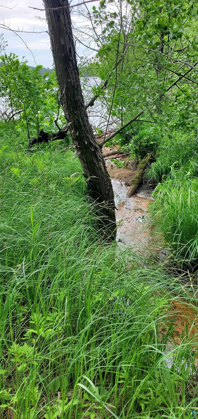 View of nature | Image 7