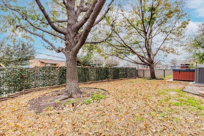 Large fenced yard! | Image 22