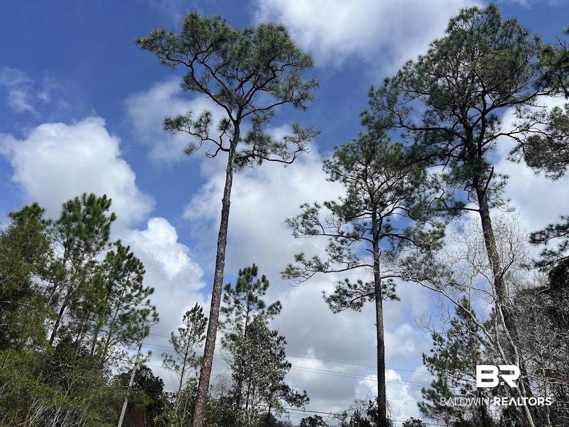 Land in Summerdale 3