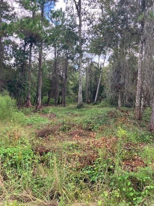 1881 Hazelnut St, BUNNELL, FL, 32110 | Card Image