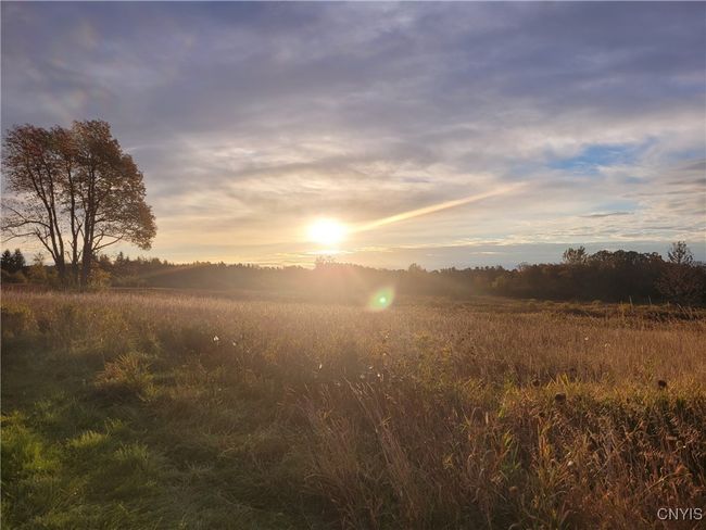 37224 County Route 4, Home with 0 bedrooms, 0 bathrooms and null parking in Clayton NY | Image 7
