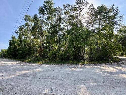 LOT 58 Ne 170th St, OLD TOWN, FL, 32680 | Card Image
