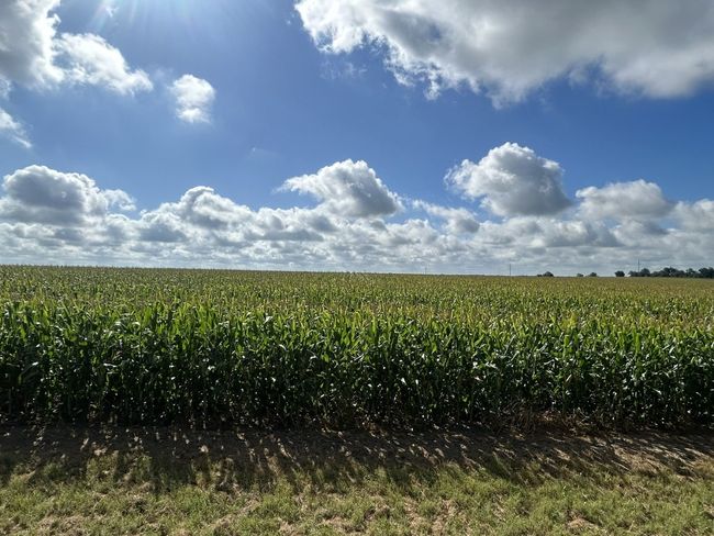 View of nature with rural landscape and large plots for crops | Image 14