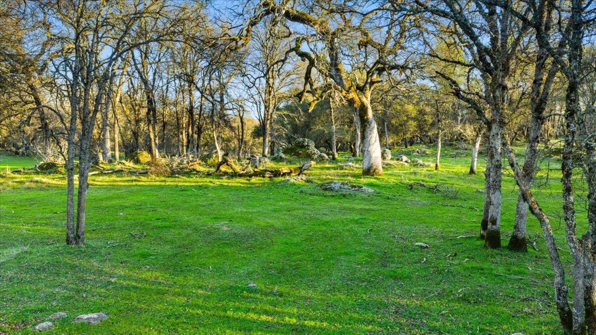 Land in Penn Valley 5
