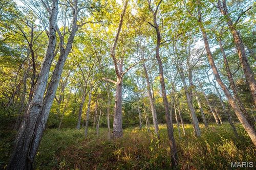 3107 Bouquet Rd, Glencoe, MO, 63038-1628 | Card Image