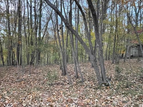 Lot 65 Barkley Shores Dr, Cadiz, KY, 42211 | Card Image