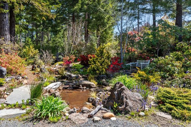 Garden | Image 62