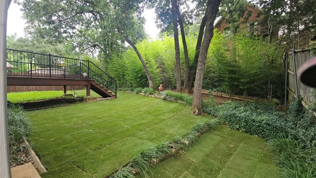 Newly sodded back yard. | Image 15