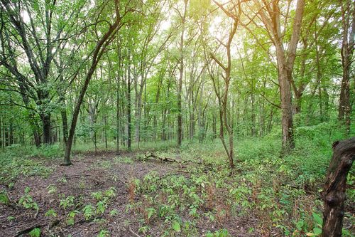 4351 Willard Lane, Lowell, IN, 46356 | Card Image