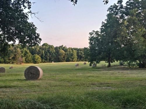 20086 County Road 299, Arp, TX, 75750-9509 | Card Image
