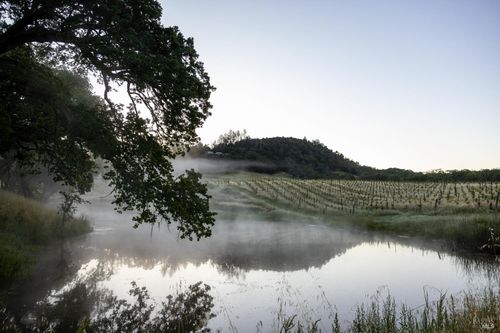 13414 Chalk Hill Rd, Healdsburg, CA, 95448-9043 | Card Image
