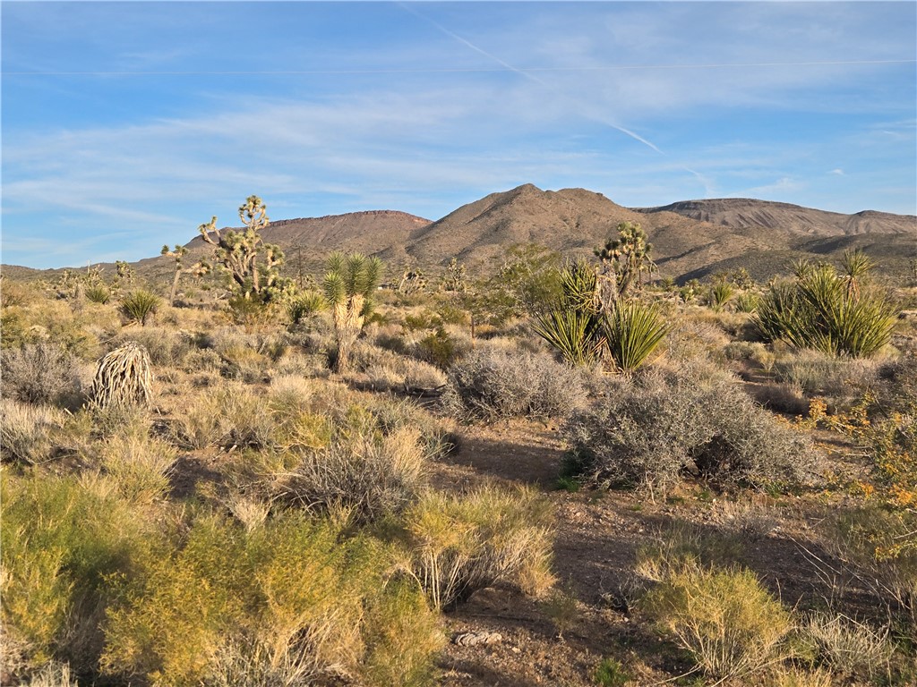Land in White Hills 5