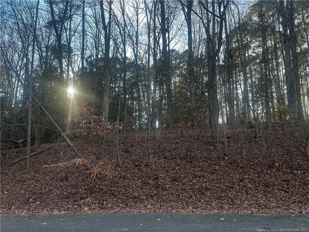 Land in Sanford 3