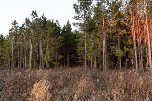 0 Ga Highway 26, Montrose, GA, 31065 | Card Image
