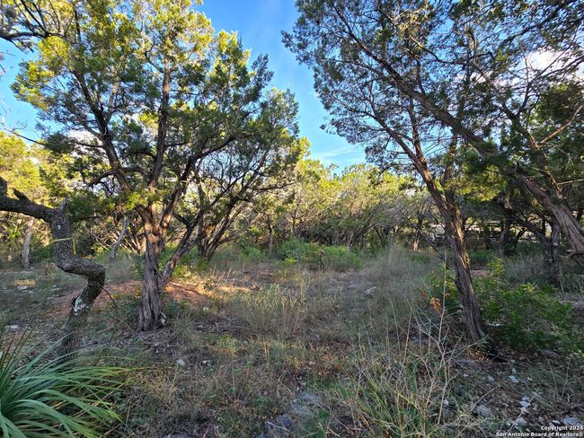 15822 White Fawn Dr, Home with 0 bedrooms, 0 bathrooms and null parking in San Antonio TX | Image 17
