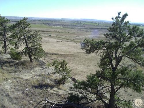 10550 Reno Ln, Shepherd, MT, 59079 | Card Image