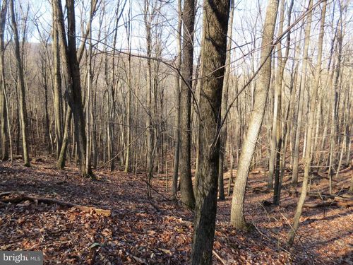 14 Cedarwwood Drive Rd, MATHIAS, WV, 26812 | Card Image