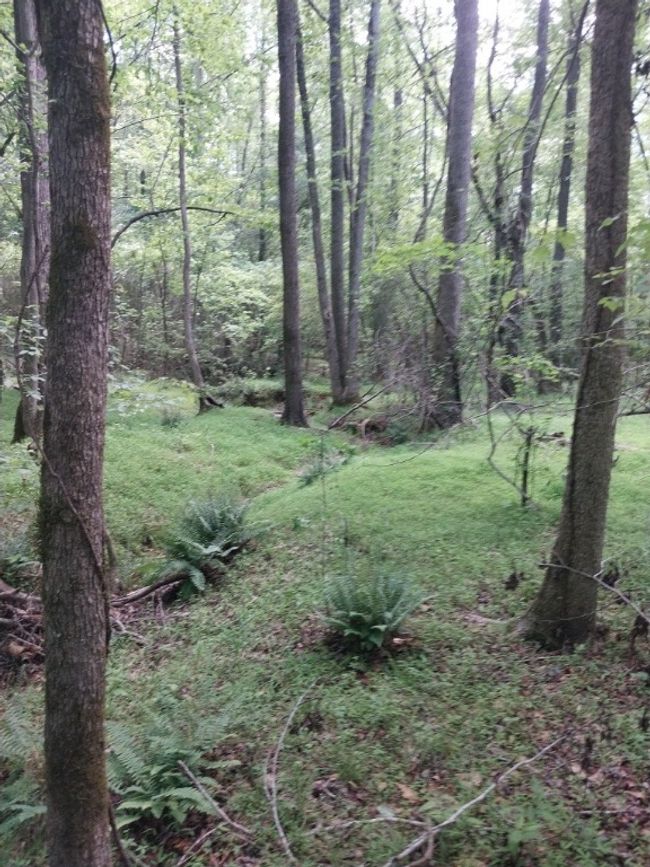 846 Latimer Mill Rd, Home with 0 bedrooms, 0 bathrooms and null parking in Honea Path SC | Image 14