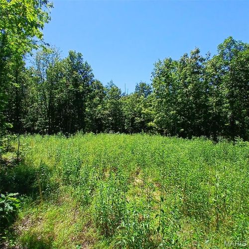 0000000 Easement, Annapolis, MO, 63620 | Card Image
