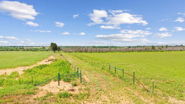 119 - TBD Fm 2689, Home with 0 bedrooms, 0 bathrooms and null parking in Gorman TX | Image 11